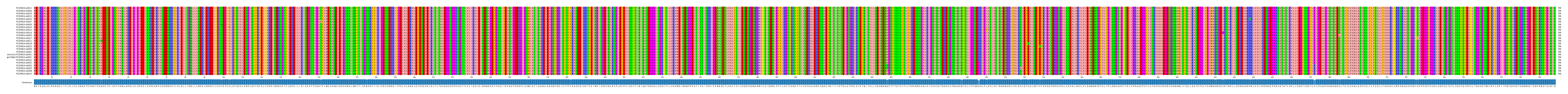 Multiple Alignments (by translate haplotype similarity)