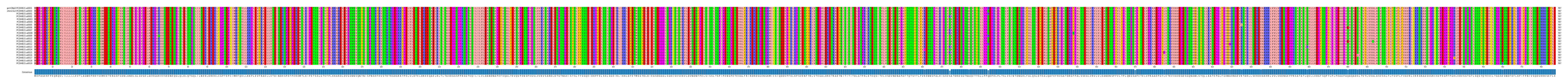 Multiple Alignments (by translate haplotype frequency)