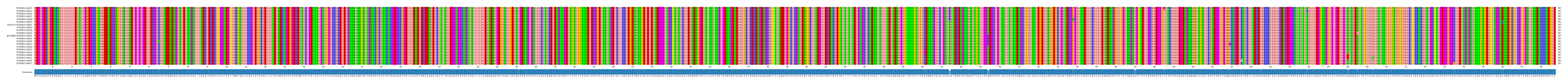 Multiple Alignments (by translate haplotype similarity)
