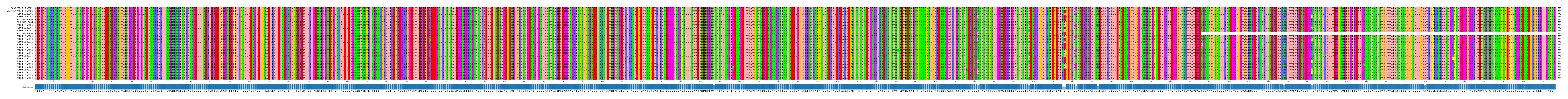 Multiple Alignments (by translate haplotype frequency)