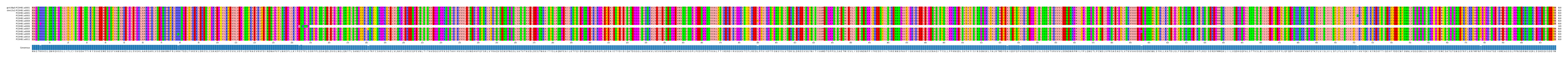 Multiple Alignments (by translate haplotype frequency)
