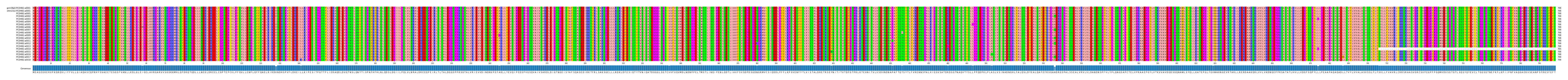Multiple Alignments (by translate haplotype frequency)