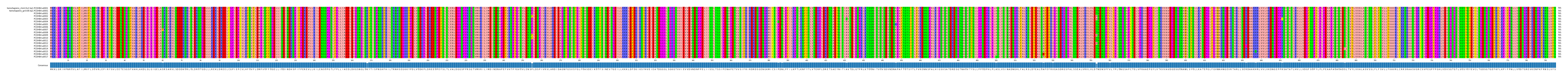 Multiple Alignments (by translate haplotype frequency)