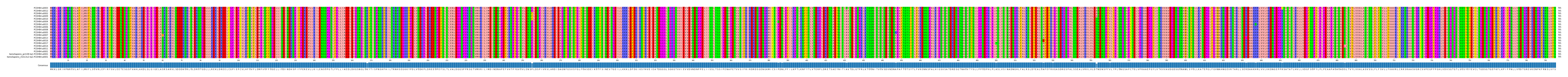 Multiple Alignments (by translate haplotype similarity)