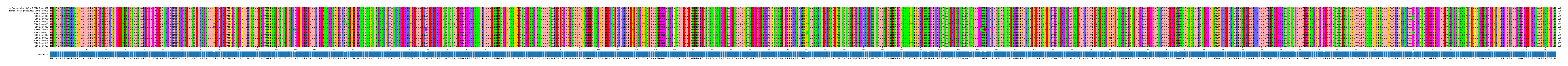 Multiple Alignments (by translate haplotype frequency)