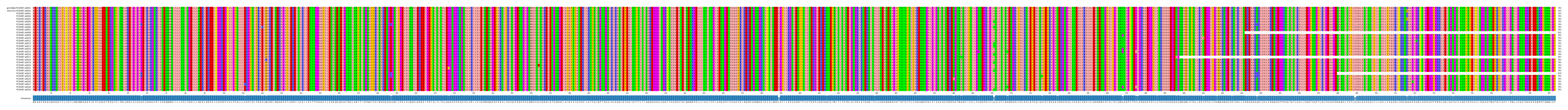 Multiple Alignments (by translate haplotype frequency)
