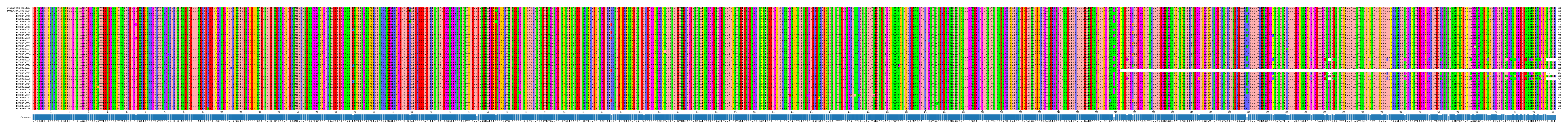 Multiple Alignments (by translate haplotype frequency)