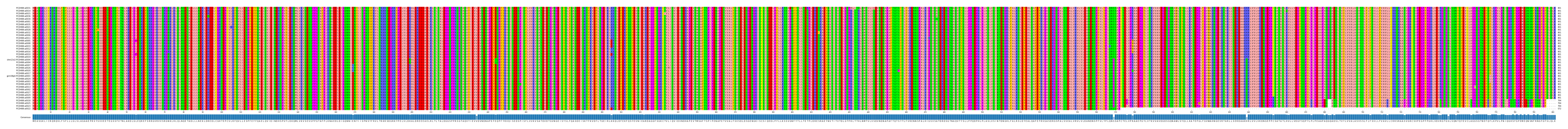 Multiple Alignments (by translate haplotype similarity)