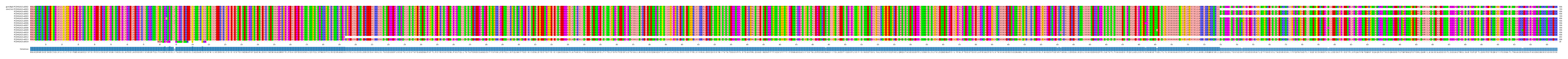 Multiple Alignments (by translate haplotype frequency)