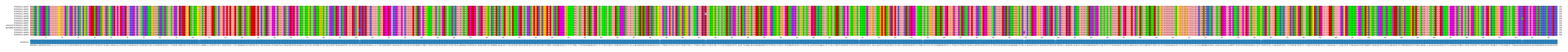 Multiple Alignments (by translate haplotype similarity)