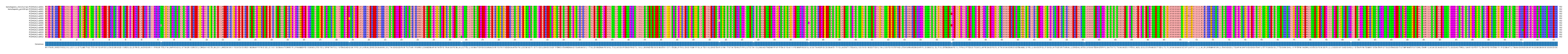 Multiple Alignments (by translate haplotype frequency)