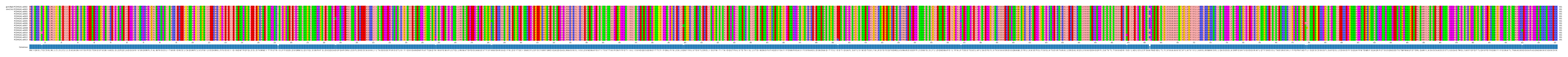 Multiple Alignments (by translate haplotype frequency)