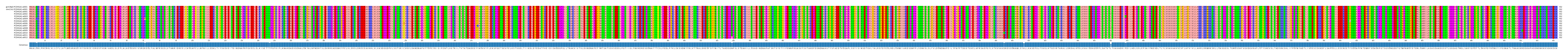 Multiple Alignments (by translate haplotype frequency)
