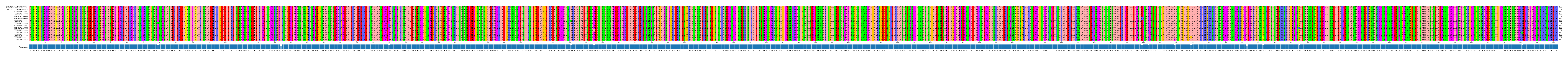 Multiple Alignments (by translate haplotype frequency)