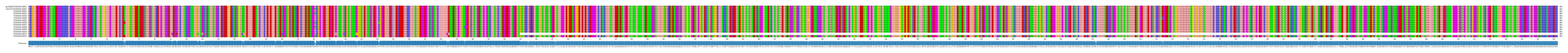 Multiple Alignments (by translate haplotype frequency)