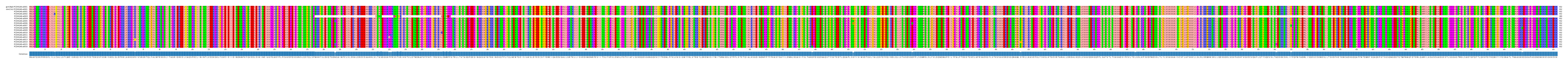 Multiple Alignments (by translate haplotype frequency)