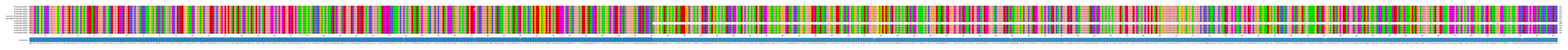Multiple Alignments (by translate haplotype similarity)