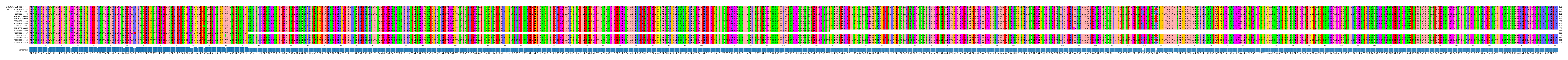 Multiple Alignments (by translate haplotype frequency)