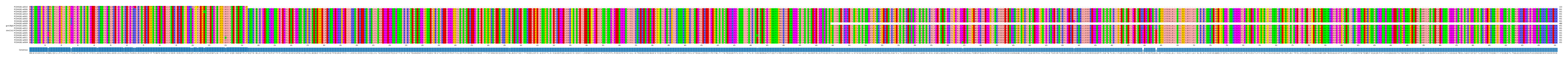 Multiple Alignments (by translate haplotype similarity)