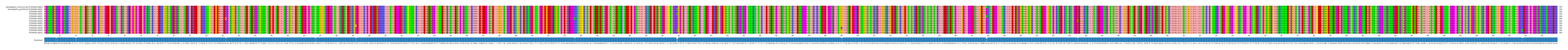Multiple Alignments (by translate haplotype frequency)