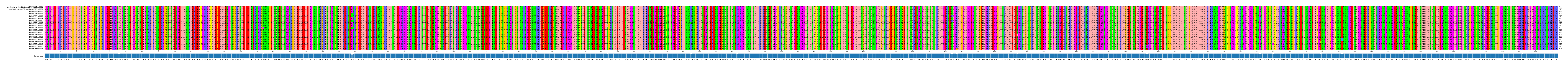Multiple Alignments (by translate haplotype frequency)