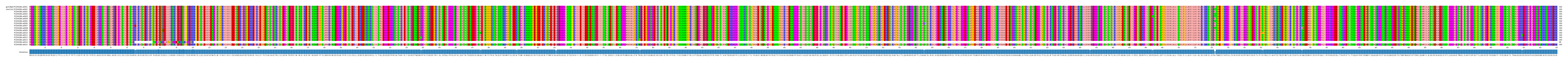 Multiple Alignments (by translate haplotype frequency)