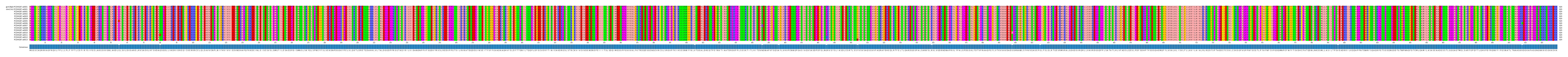 Multiple Alignments (by translate haplotype frequency)