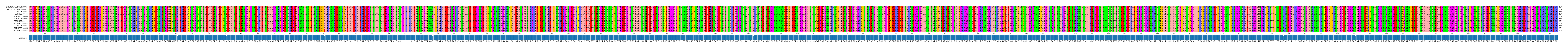 Multiple Alignments (by translate haplotype frequency)
