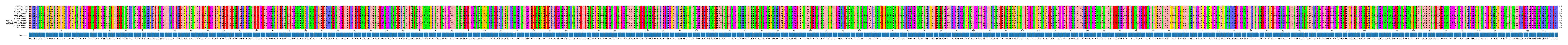 Multiple Alignments (by translate haplotype similarity)