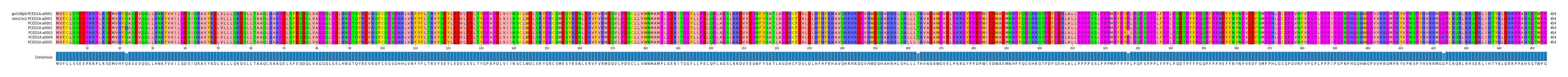 Multiple Alignments (by translate haplotype frequency)