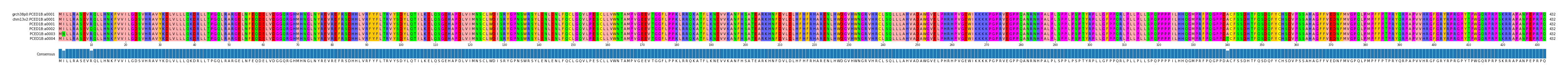 Multiple Alignments (by translate haplotype frequency)