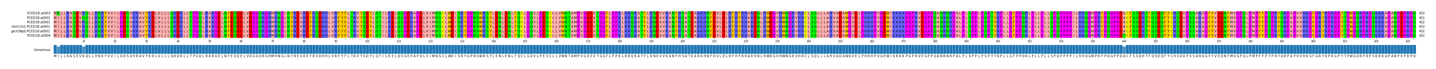 Multiple Alignments (by translate haplotype similarity)