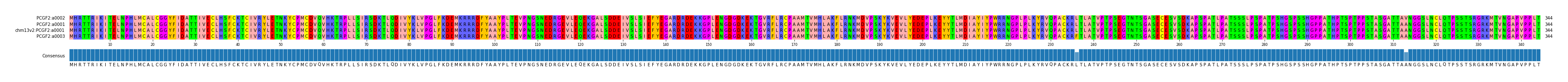 Multiple Alignments (by translate haplotype similarity)