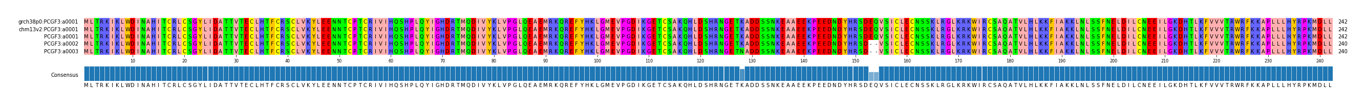 Multiple Alignments (by translate haplotype similarity)