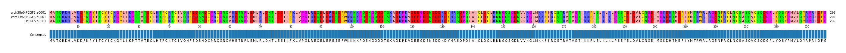 Multiple Alignments (by translate haplotype similarity)