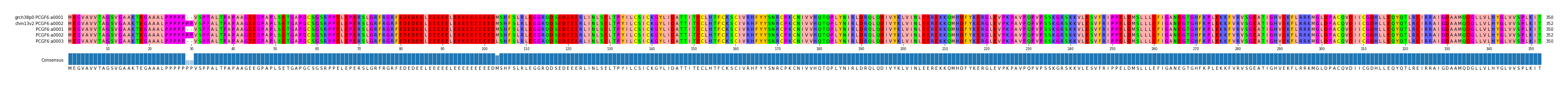 Multiple Alignments (by translate haplotype frequency)