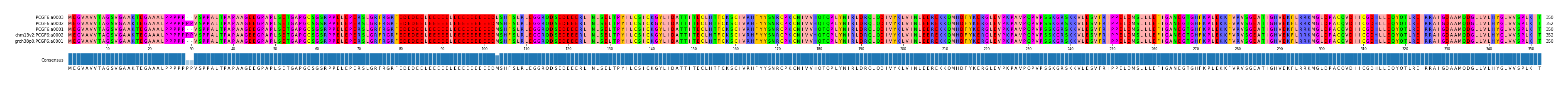 Multiple Alignments (by translate haplotype similarity)