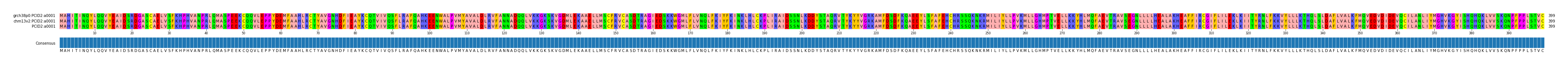 Multiple Alignments (by translate haplotype similarity)