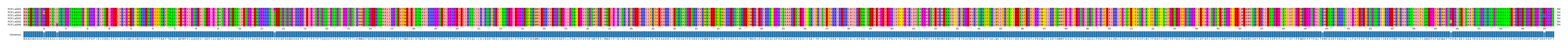 Multiple Alignments (by translate haplotype similarity)