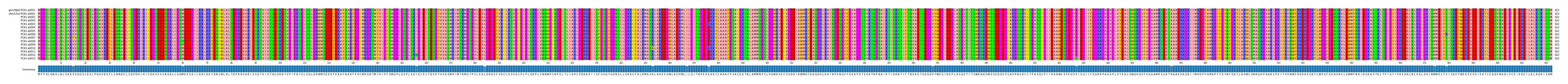 Multiple Alignments (by translate haplotype frequency)