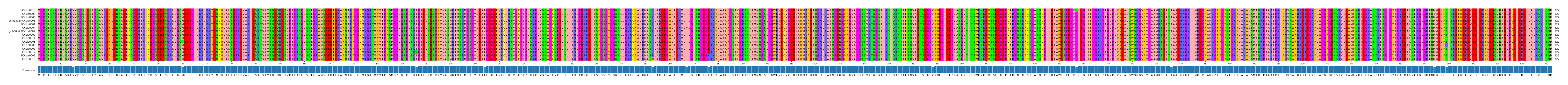 Multiple Alignments (by translate haplotype similarity)