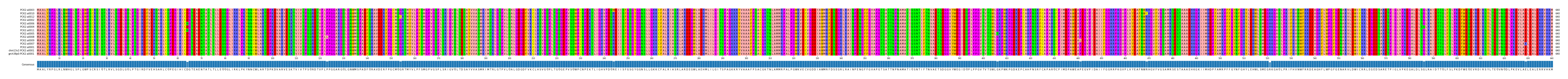Multiple Alignments (by translate haplotype similarity)