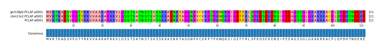 Multiple Alignments (by translate haplotype similarity)