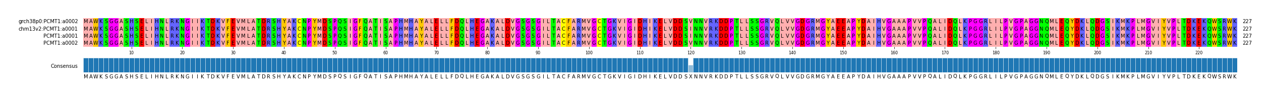 Multiple Alignments (by translate haplotype frequency)