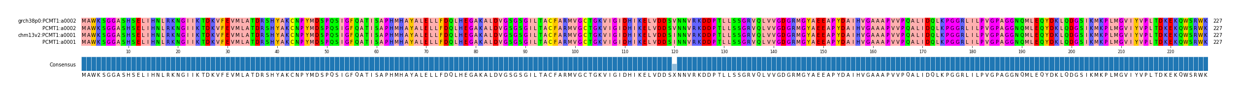 Multiple Alignments (by translate haplotype similarity)