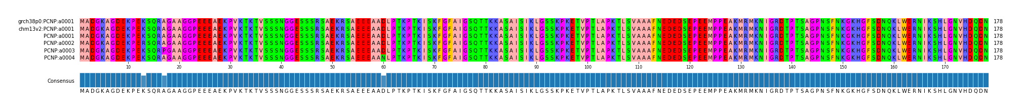 Multiple Alignments (by translate haplotype frequency)