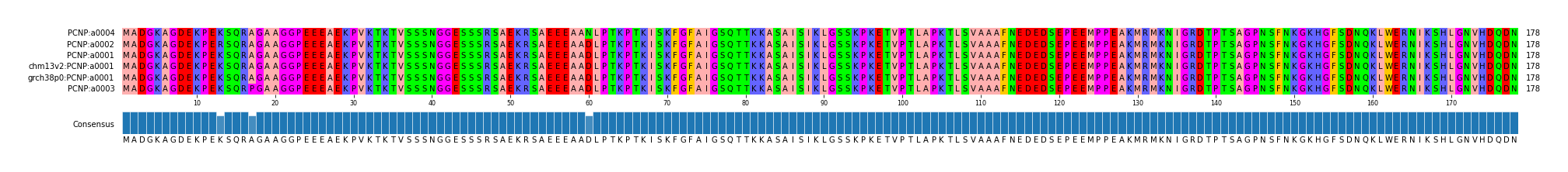Multiple Alignments (by translate haplotype similarity)