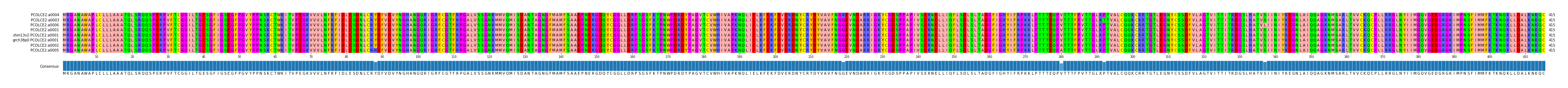 Multiple Alignments (by translate haplotype similarity)