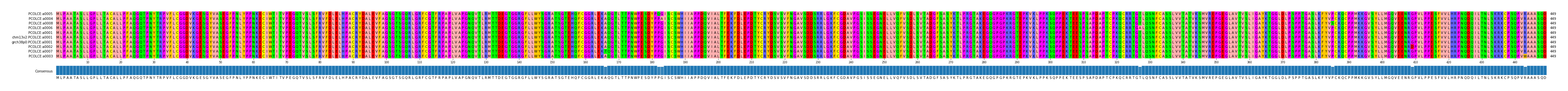 Multiple Alignments (by translate haplotype similarity)