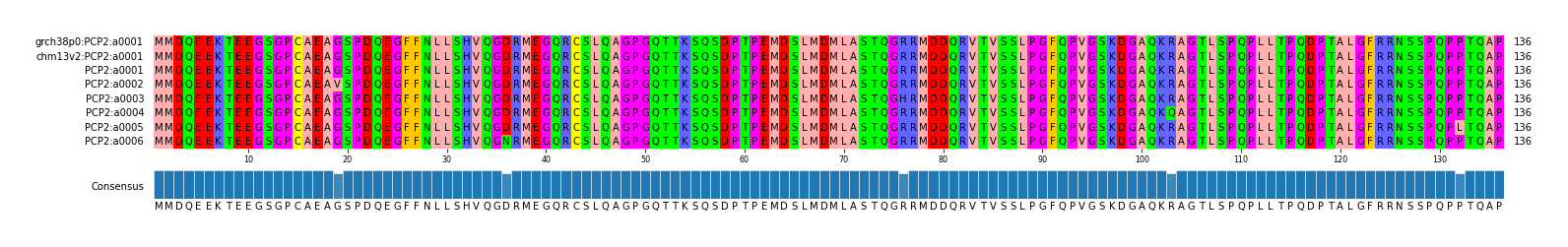 Multiple Alignments (by translate haplotype frequency)